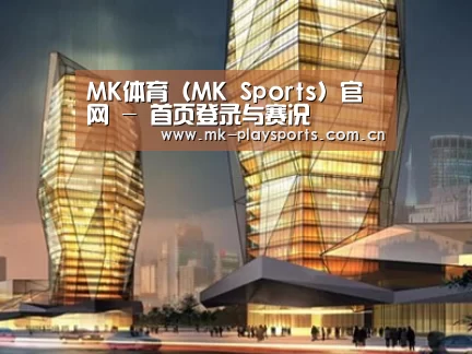 案例展示三