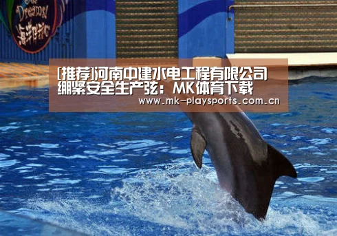 MK体育官方网站