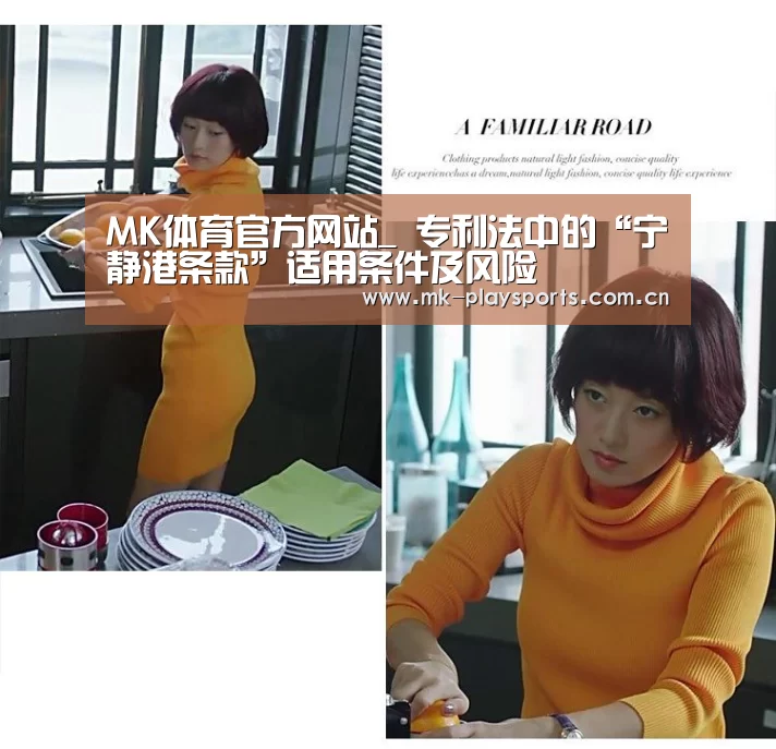 MK体育官方网站_
专利法中的“宁静港条款”适用条件及风险(图4) MK体育