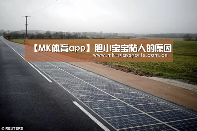 【MK体育app】胆小宝宝粘人的原因(图3) MK体育下载
