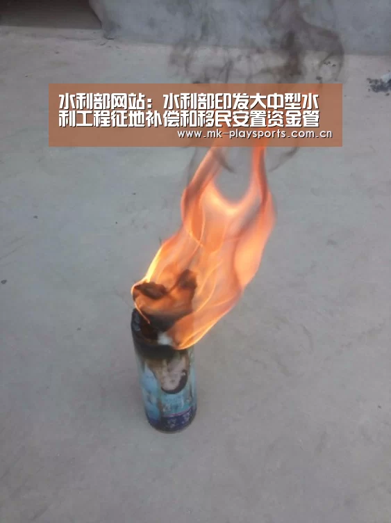 水利部网站:水利部印发大中型水利工程征地补偿和移民安置资金管理稽察暂行办法【MKSPORT】(图1) MK体育下载