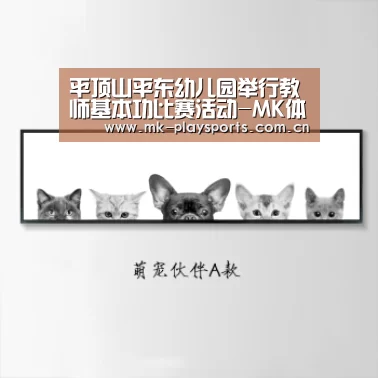平顶山平东幼儿园举行教师基本功比赛活动-MK体育下载(图4) MK体育下载