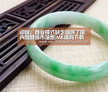 阎峰:商业模式缺乏阻碍了国内智慧城市落地|MK体育下载(图2) MK体育